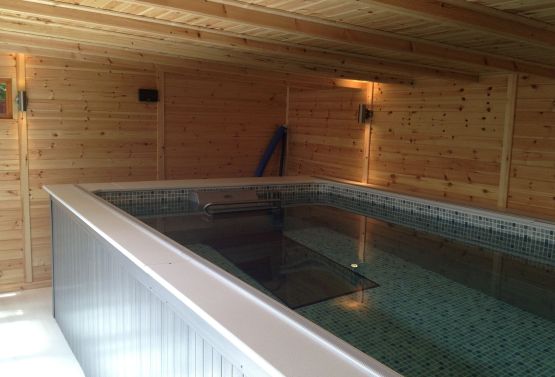 Timber Lined Endless Pool Room with Lighting